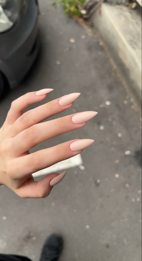 Pointy Neutral Nails, Stilleto Nails Neutral, Sharp Claws Nails, Nude Stiletto Nails Short, Minimalist Nails Stiletto, Long Acrylic Nails Pointy, Acrylic Nails Pointy Almond, Matte Stiletto Nails Design, Nude Pink Stiletto Nails