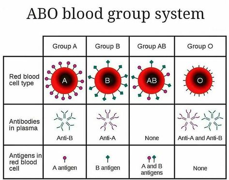 Abo Blood Group System, Resume Nurse, Costume Nurse, Nurse Ideas, Nurse Notes, Nurse Tips, Blood Group, Aesthetic Nurse, Nurse Jackie