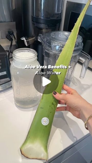 Diy Aloe Water To Drink, Aloe Vera Water Recipe, Aloe Drink Recipe, How To Make Aloe Vera Juice, Aloe Vera Drink Recipe, Aloe Vera Drink Benefits, Aloe Water Recipe, Eating Aloe Vera, Aloe Recipes