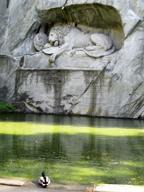 Lion Of Lucerne Sculpture, Lion Of Lucerne, Lion Monument, Lucerne Switzerland, Fantasy Places, A Duck, Incredible Places, Land Art, Beautiful Places To Travel