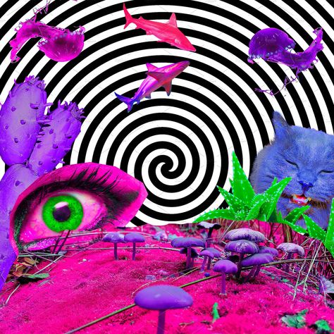 Hallucination Aesthetic, Hallucination Art, Psychodelisch Art, Acid Aesthetic, Trippy Photos, Mundo Hippie, Art Trippy, Acid Art, Arte Indie