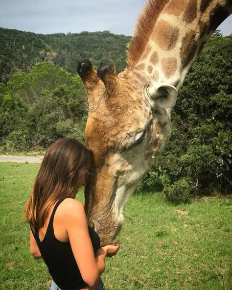 Vet Medicine, Wildlife Biologist, Vet School, Vet Student, Vet Med, Work Abroad, Shay Mitchell, Veterinary Medicine, Work With Animals