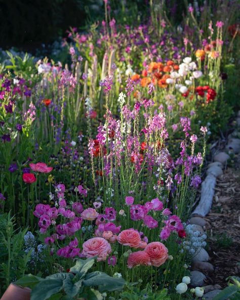 Flower Garden On A Hill, Big Garden With Flowers, Cottage Core Flower Garden, Summer Cottage Garden, Wildflower Garden Backyard, Wild English Garden, Flower Garden Inspiration Backyards, European Flower Garden, Big Garden Inspiration