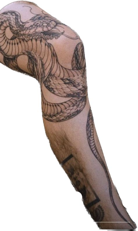 Snake Leg Tattoo Men, Twin Snake Tattoo, Snake Wrapped Around Leg Tattoo, Snake Knee Tattoo, Dragon Leg Tattoo, Tattoo King, E.t Tattoo, Barber Tattoo, King Ghidorah