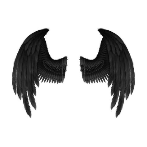 Wing Sticker, Wings Sketch, Halloween Wings, Wings Png, Black Hair Accessories, Wings Wallpaper, Zodiac Sign Fashion, Black Angel Wings, Photo Elements