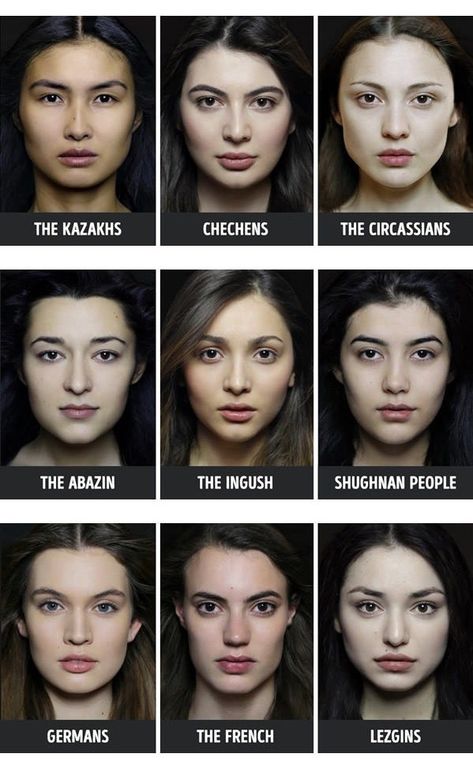 Face Anatomy, Face Study, Funny Post, Face Reference, Facial Features, Human Race, Anatomy Reference, Human Anatomy, 인물 사진