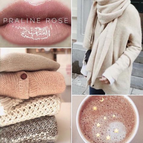 Brooke, {Senegence ID #405524} (@brookebauerbeauty) on Instagram: “Cozy sweaters, a hot beverage, and the perfect neutral lip color. Praline Rose Lipsense, Neutral Lip Color, Lipsense Gloss, Lip Tips, Senegence Makeup, Senegence Lipsense, Colour Remover, Lipsense Colors, Chic Makeup