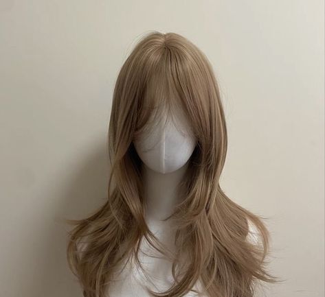 Angelic Hair Color, Heir Stayl, Hairstyles Mannequin, Light Hair Color Ideas, Hair Style Korea, Brown Hair Inspo, Ginger Hair Color, Elegant Hair, Wolf Cut