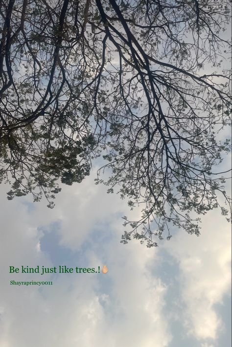 Sky 
Nature 
Quotes 
Feeling Caption For Trees And Sky, Sky Captions, Short Trees, Hand Quotes, Snap Streaks, Tree Quotes, Short Instagram Quotes, Sky Quotes, Aesthetic Captions