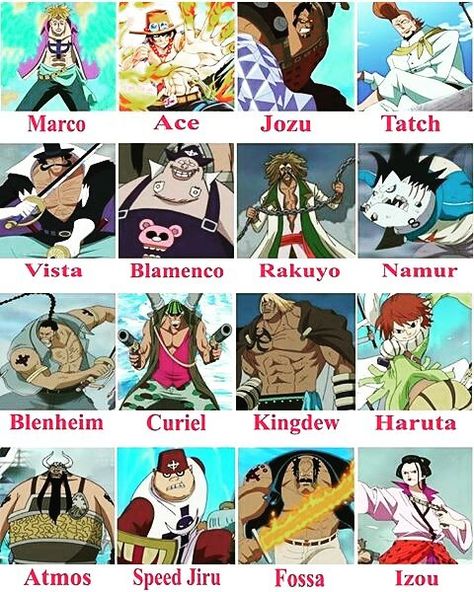 Woww!! They are commando of Shirohige Pirates?? WHO the favourite??!! ♡INDONESIA♡ Barba Branca One Piece, Marco Ace, Whitebeard Pirates, Edward Newgate, One Piece Bounties, Devil Fruit, Anime Siblings, Zoro Nami, One Piece Crew