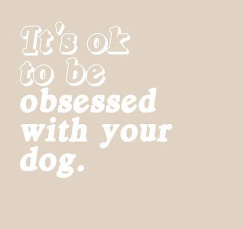 I mean... we are 🤣 #funnydog #dogmomlife Dog Mom Quotes, Dogs Big, Mum Quotes, Dog Lover Quotes, Dog Quotes Love, Toy Dogs, Dog Business, Designer Dog, Plush Dog Toys