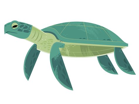 Green Sea Turtle Illustration, Turtle Illustration Art, Turtle Vector Illustration, Turtle Character Design, Sea Turtle Cartoon, Sea Turtle Illustration, Turtle Illustration, Green Sea Turtle, Fish Illustration