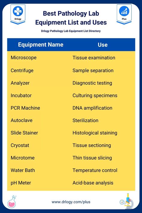 100+ Best Pathology Lab Equipment List & Uses with Price Range- Drlogy Pathology Lab Equipment List Engineering Notes, Pathology Lab, Lab Instruments, Study Material, Patient Experience, Lab Equipment, Price Range, Patient Care, Study Materials