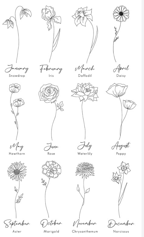 Realistic Birth Flower Tattoo, Aster Fine Line Tattoo, Birth Flowers Tattoos, Cow And Flower Tattoo, Fine Line Birth Flowers, Fine Line Tattoo Water, Cute Fine Line Tattoos For Women, Fine Line Flower Spine Tattoo, Women Fine Line Tattoo