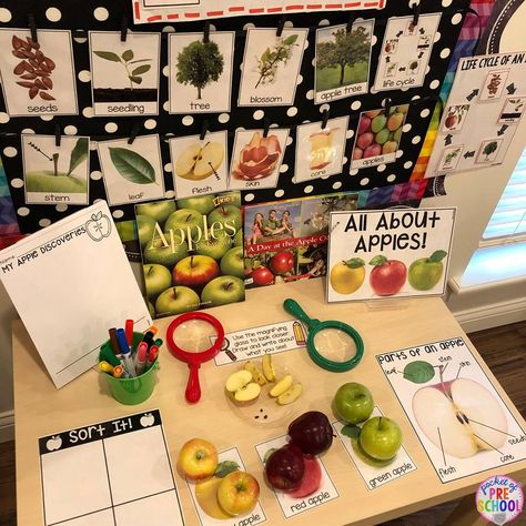 How to set up the Science Center in your Early Childhood Classroom - Pocket of Preschool Science Center Preschool, Vetenskapliga Experiment, Pocket Of Preschool, Science Area, Science Classroom Decorations, Apple Preschool, Preschool Centers, Apple Activities, Dramatic Play Centers