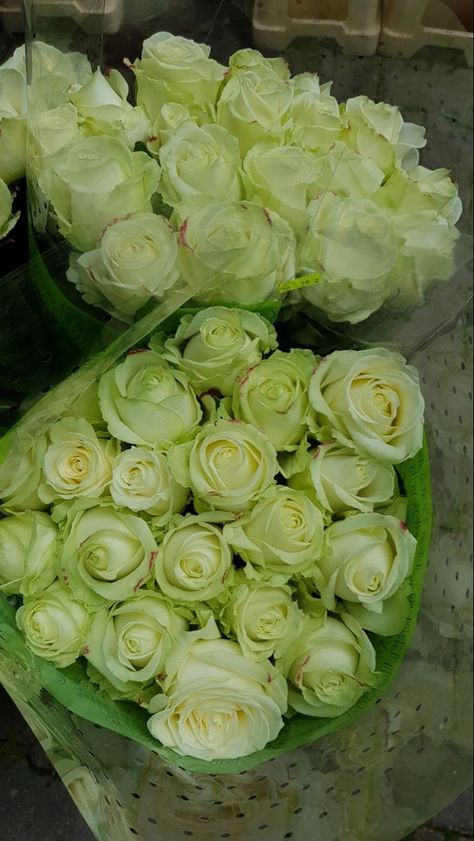 Green Roses Bouquet Aesthetic, Green Flower Bouquet Aesthetic, Green Bouquet Aesthetic, Dark Green Roses Aesthetic, Green Roses Aesthetic, Roses Aesthetic Bouquet, Green Flowers Aesthetic, Sage Green Roses, Aesthetic Bouquet