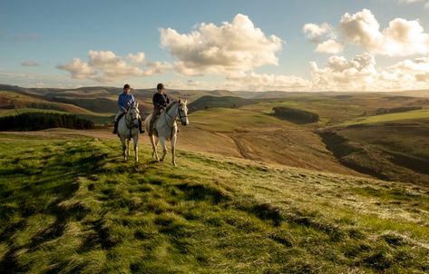 Ride Scottish Borders - Scotland's horse country - Scottish Field Scotland Horseback Riding, Scottish Lifestyle, Horse Riding Holiday, Cheviot Hills, Cross Country Jumps, Riding Holiday, Summer Job, Scotland History, Scotland Trip