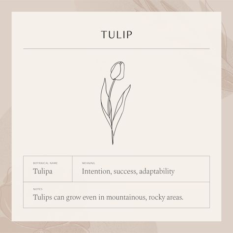 Tulip Necklace — GLDN Simplistic Tulip Tattoo, Delicate Tulip Tattoo, Tulip Fine Line Tattoo, Tulip One Line Tattoo, Tulips Line Art Tattoo, Latin Names, Tulip Tattoo, Tulip Necklace, Petite Tattoos