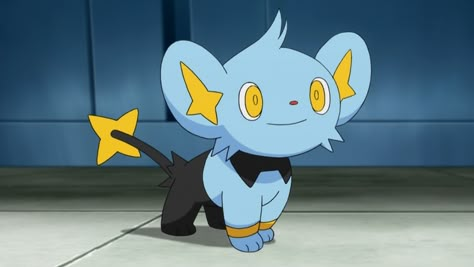 As a Shinx Pokémon Illustration, Pokemon Shinx, Luxray Pokemon, Pokemon Z, Sailor Moon Wedding, All Anime Characters, Cozy Pants, Pokemon Eevee, Anime Expressions