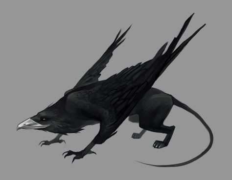 ArtStation - Black gryphon concept, Helena Lucca Schulin Fantasy Mounts, Hybrid Creatures, Beast Creature, Dark Wings, Mythical Animal, Fantasy Creatures Art, Fantasy Monster, Creature Feature, Mythological Creatures