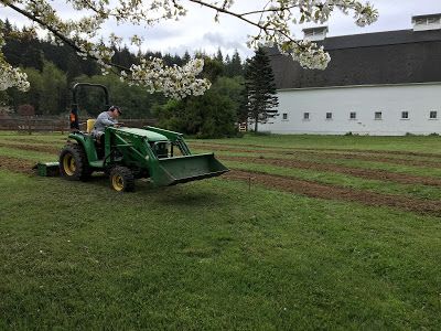 Berry Farm, Blueberry Farming, How To Acidify Soil For Blueberries, Blueberry Farm Wedding, Blueberry Farm Aesthetic, Blueberry Orchard, Row Covers, Blueberry Picking, Blueberry Farm