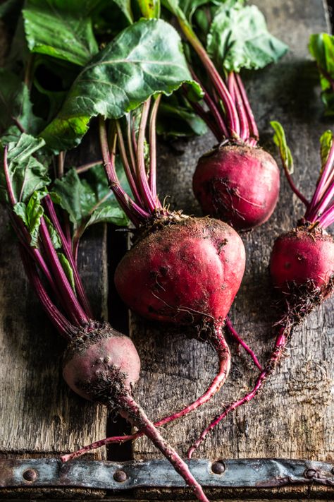 Fall Vegetables To Plant, Pizza Roll, Vegetables Photography, Beet Hummus, Fall Vegetables, Red Beets, Lemon Vinaigrette, Food Photography Inspiration, Fruit Photography