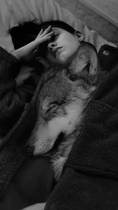 Werewolf Love Aesthetic, Wolf Aesthetic Dark, Wolf Dog Aesthetic, Ox And Joe, Wolf And Girl, Werewolf Aesthetic, Wolves And Women, Wolf Love, Wolf Pictures