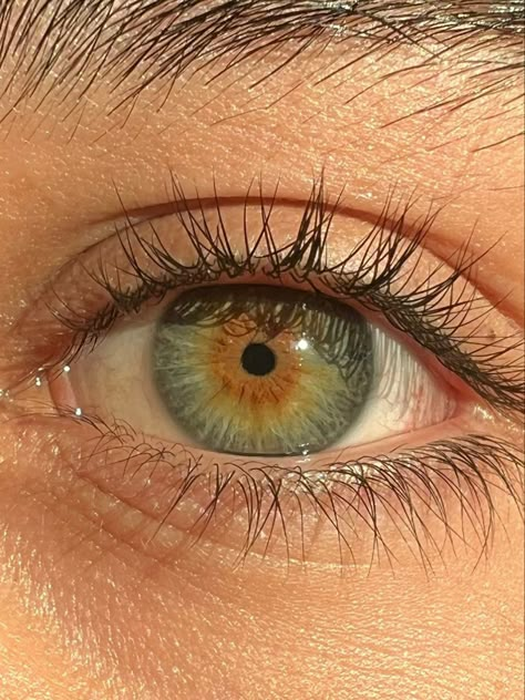 Green Eye Reference, Earth Eyes, Sketch Book Drawing Ideas, Green Eye Color, Light Green Eyes, Green Hazel Eyes, Central Heterochromia, Heterochromia Eyes, Green Brown Eyes