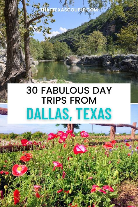 Looking for some fun day trips from Dallas? Then look no further. This post outlines 30 fun day trips from Dallas that are full of things to do. We have you covered with the Texas Hill Country, Texas coast, Oklahoma, North Texas, East Texas, West Texas and more! We have included Texas small town and city escapes in Texas, so there is something for everyone! Dallas day trips | Texas day trips | Day trips in Texas | getaways from Dallas | weekend getaways from Dallas | weekend trips from Dallas Texas Day Trips, Day Trips From Dallas, Dinosaur Valley State Park, Dallas Travel, Usa Travel Guide, Texas Travel, Travel Time, Fun Day, North America Travel