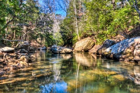 Sipsey Wilderness, Winter Backpacking, Cumberland Falls, Backpacking Trips, Alabama Travel, Pisgah National Forest, Perfect Road Trip, Winter Camping, Winter Hiking