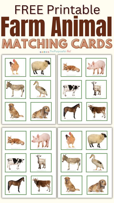 Free printable farm animal matching cards for a fun memory game with preschool children. Farm Animal Matching, Farm Animals Games, Printable Memory Game, Farm Activities Preschool, Farm Week, Animal Matching Game, Farm Animals Preschool, Playgroup Ideas, Farm Animals Activities