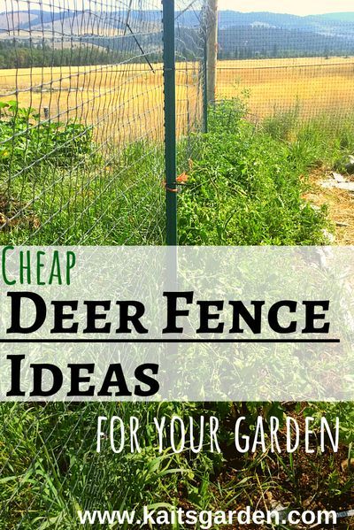 Vegetable Garden Fence Ideas Cheap, Deer Resistant Garden Fence, Diy Garden Fence Cheap Simple, Simple Garden Fence, Fence Ideas For Garden, Deer Fence Ideas, Animal Proof Garden, Cheap Fence Ideas, Australian Homestead