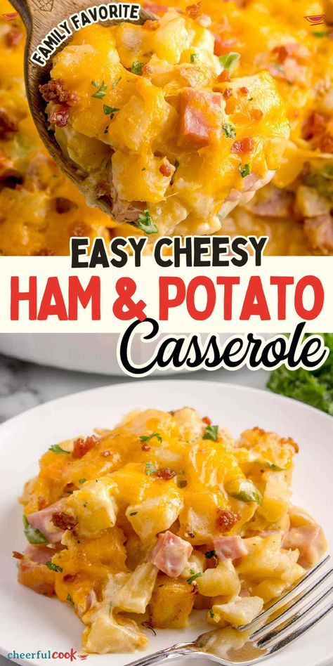 Savor the comfort of home-cooked meals with our Ham and Potato Casserole recipe, perfect for bringing warmth and satisfaction to any family dinner table. Easy to prepare and utterly delicious, it's a must-try for those who love hearty, comforting dishes. #CheerfulCook #Cheesy #easycheesy #leftoverham #baked #casserole #easydinner Chopped Ham Dinner Ideas, Ham And Potatoes Casserole Recipes, Diced Ham Breakfast Casserole, Easy Dinners With Ham, Hashbrown Ham And Cheese Casserole, Ham Broccoli Cheese Casserole, Recipes That Use Ham, Ham And Frozen Potato Casserole, Ham And Cheese Baked Potato