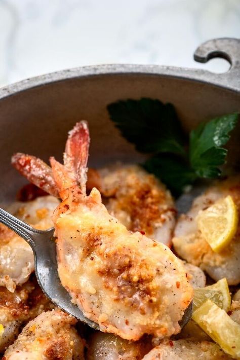 You are going to love our broiled Butterfly Parmesan Shrimp The New Year is upon us and what better way to start the New Year or say goodbye to the old than this delicious Broiled Butterfly Parmesan Shrimp recipe! This recipe is great as an appetizer or as a main dish. By the way, HAPPY NEW YEAR! Preparing the Shrimp Prepping the shrimp requires cleaning, de-veining, shelling, removing the head, legs, and then butterflying. Whew, that sounds like a lot of work! It isn’t and only re… Butterfly Shrimp Recipes, Shredded Zucchini Recipes, Broiled Shrimp, Parmesan Shrimp, Butterfly Shrimp, Shrimp Parmesan, Shrimp Gumbo, Recipes Seafood, Carnivore Diet