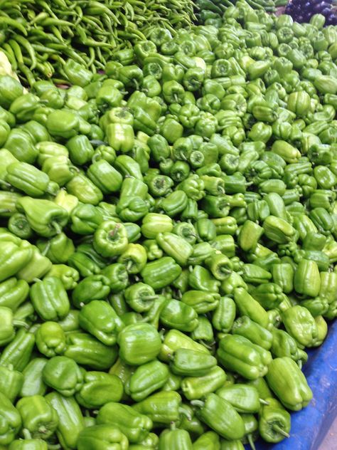 Bell peppers Pepper Farming, Fruits Market, Agriculture Pictures, Green Images, Farm Harvest, Grape Vineyard, Farming Ideas, Vegetable Shop, Bodybuilding Recipes