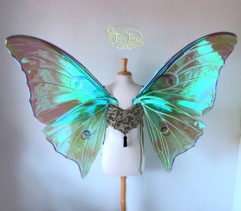 https://flic.kr/p/txaJu3 | Extra Large Luna Moth wings back | Extra Large Luna Moth wings, without tails, painted pattern on light green iridescent film with pearl white/green accents and pearl veins. © 2015 Fancy Fairy Wings & Things, All Rights Reserved. This is NOT stock, do not use or redistribute without written permission. If re-posting for review or sharing purposes, please include credit and a link back to FancyFairy.com. Luna Moth Wings, Butterfly Wings Costume, Faerie Costume, Butterfly Fairy Wings, Costume Wings, Moth Wings, Fairy Queen, Wings Costume, Butterfly Fairy