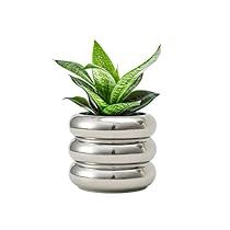 Plant Pot Indoor, White Ceramic Planter, Ceramic Planter Pots, Bubble Design, Drainage System, Ceramic Plant Pots, Ceramic Pots, Indoor Plant Pots, Beautiful Textures