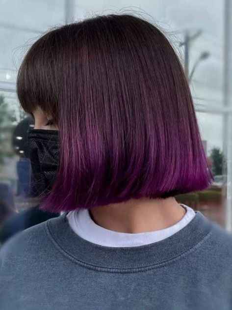 Purple Hair Tips, Beautiful Hair Color Ideas, Dip Dyed Hair, Purple Hair Ideas, Majestic Hair, Purple Hair Color Ideas, Short Purple Hair, Purple Hair Color, Color Ideas For Short Hair