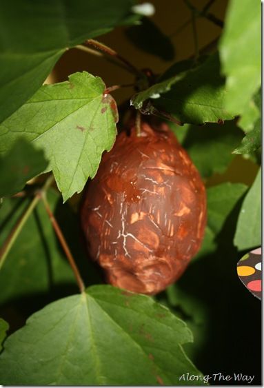 make the chrysalis,  cover a plastic egg with white Crayola Model Magic Chrysalis Craft, Butterfly Cycle, Preschool Corner, From Caterpillar To Butterfly, Butterfly Life Cycle Craft, Caterpillar To Butterfly, Life Cycle Craft, About Butterflies, Model Magic