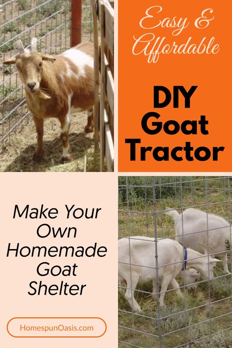 How To Make A Goat Tractor | Are you looking for goat tractor ideas? Check out this tutorial for how to build a goat tractor the cheap and easy way! -- DIY goat house ideas, goat pen ideas, goat shelter Goat Tractor Ideas, Pygmy Goat Pen, Goat Tractor, Goat Fence, Keeping Goats, Goat Shelter, Goat Pen, Homesteading Animals, Goat House