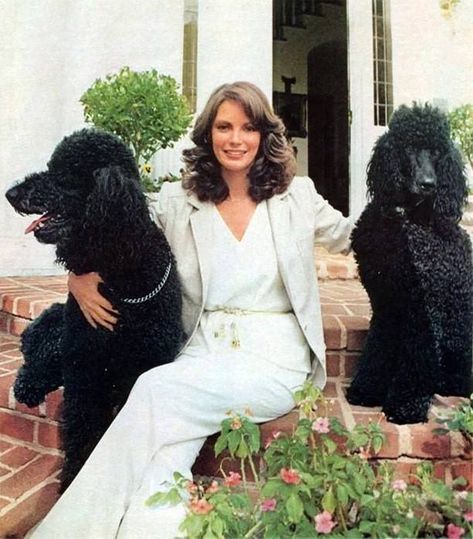 Charlie Angels, 1979 Fashion, Poodle Party, Miniature Poodles, Black Standard Poodle, Poodle Cuts, 600 Followers, Pretty Poodles, Tea Cup Poodle