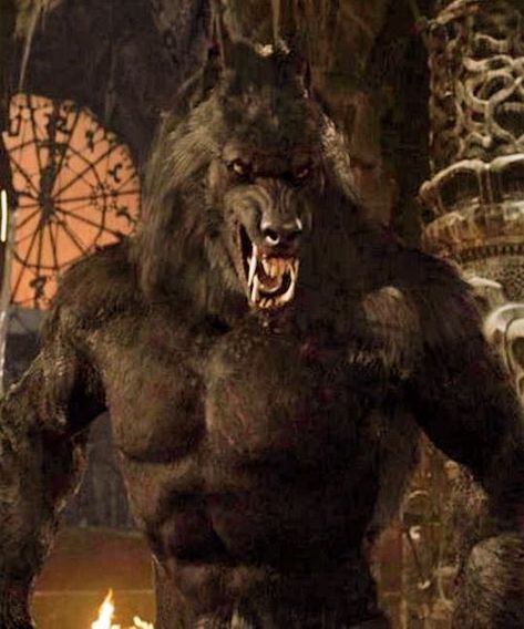 Van Helsing Werewolf, Art Alien, Van Helsing, Werewolf Art, Vampires And Werewolves, Vampire Academy, Big Bad Wolf, Classic Monsters, Creatures Of The Night