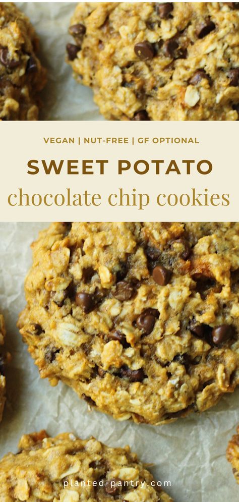 These easy Vegan Sweet Potato Oatmeal Chocolate Chip Cookies are the perfect combination of chewy and crispy. They're ready in under 30 minutes! Sweet Potato Oatmeal Cookies, Sweet Potato Oatmeal, Chocolate Chip Cookies Vegan, Sweet Potato Cookies, Oatmeal Breakfast Cookies, Vegan Pumpkin Spice, Vegan Oatmeal, Vegan Cookies Recipes, Nut Free Recipes