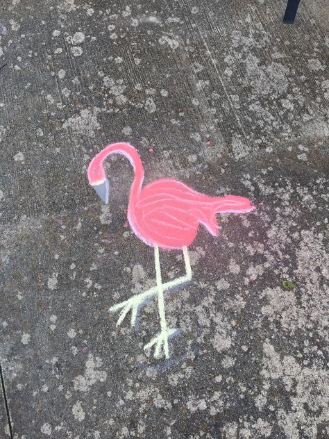 Fun Chalk Art, Chalk Ideas, Side Walk, Sidewalk Chalk Art, Chalk Drawings, Sidewalk Chalk, Chalk Art, Flamingo, Chalk