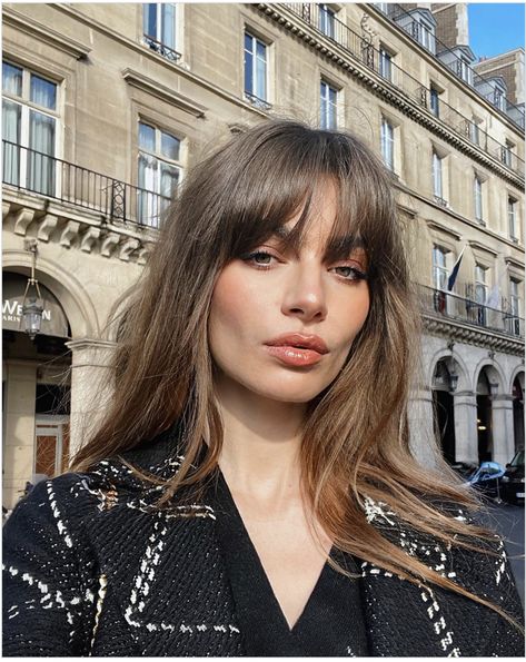 French Haircut, Midlength Haircuts, Fringe Hairstyles, French Hair, Long Hair With Bangs, Jane Birkin, Trending Haircuts, Haircuts With Bangs, Hair Envy