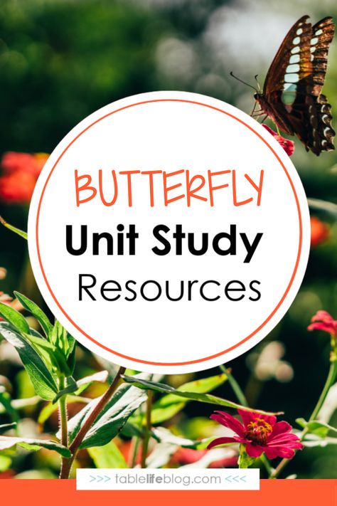 Butterfly Unit Study Butterfly Homeschool Unit, Bug And Insect Activities, Butterfly Unit Study, Butterfly Study, Bee Hotels, Unit Study Ideas, Homeschool Science Curriculum, Homeschool Unit Studies, Butterflies Activities