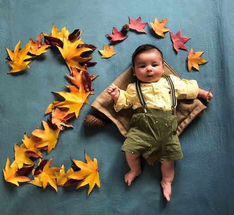 baby monthly photo ideas creative - falling leaves Baby Monthly Photo Ideas Creative, Baby Birthday Month, Baby Monthly Photo Ideas, Creative Monthly Baby Photos, Monthly Baby Photos Boy, Photo Ideas Creative, Twin Baby Photography, Fall Baby Pictures, Baby Boy Birth Announcement