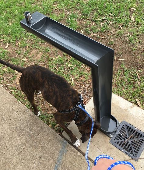 Dog Parks Design, Dog Park Water Station, Outdoor Dog Fountain, Diy Dog Water Fountain, Outdoor Dog Water Station, Dog Water Bowl Ideas, Dog Park Ideas, Dog Water Station, Dog Park Design