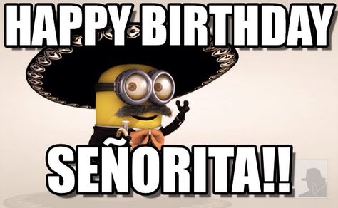 Happy Birthday Señorita! Minion Silly Happy Birthday, Minion Meme, Happy Birthday Minions, Cute Minions, A Minion, Birthday Meme, Happy B Day, Silly Pictures, Love Memes