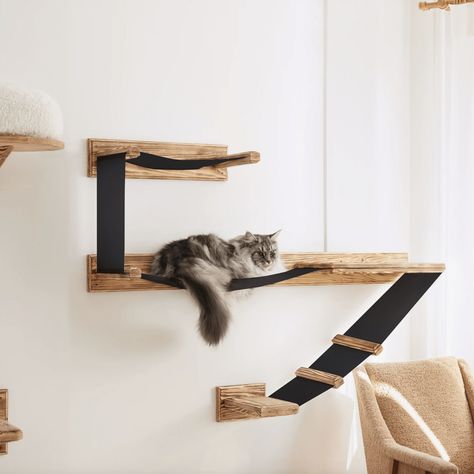 How to Keep Cats off Counters in 2022: Strategies & Training Tips Cat Condo Ideas, Diy Cat Condo, Cat Structures, Wall Cat Bed, Cat Wall Ideas, Cat Room Diy, Diy Cat Furniture, Things For New Home, Diy Cat Hammock